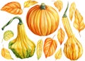 Pumpkins and yellow leaves on an isolated white background. Watercolor illustration, autumn leaf and pumpkin Royalty Free Stock Photo