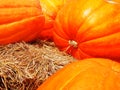 Pumpkins