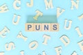 Pun or puns figure of speech concept in English grammar class lesson.