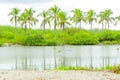 Puna Lagoon In Ecuador