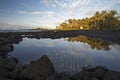 Punalu`u Beach, South coast, Big Island, Hawaii