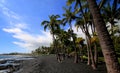 Punaluu Black sand beach Royalty Free Stock Photo