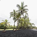 Punaluu black sand beach, Hawaii Royalty Free Stock Photo