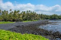 Punaluu Black Sand Beach Royalty Free Stock Photo