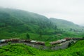 Puncak Tea Plantation Royalty Free Stock Photo