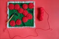 Punch needle embroidery of red flowers on green, punch needle and a skein of red yarn,