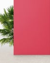 Punch pink colored wall with plant, background for product presentation Royalty Free Stock Photo