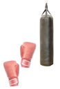 Punching bag Royalty Free Stock Photo