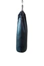 Punching bags isolate on white background