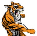 Punching tiger mascot