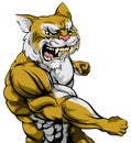 Punching wildcat mascot