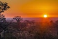 Punda Maria, north of Kruger national park, South Africa Royalty Free Stock Photo