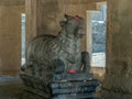 Nandi at The circular Nandi mandapa at the Pataleshwar cave temple built in the Rashtrakuta era