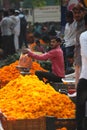 Pune, India - October 21, 2015: Weighing Marigold