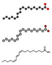 Punicic acid (trichosanic acid) molecule. Stylized 2D renderings and conventional skeletal formula. Fatty acid present in