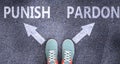 Punish and pardon as different choices in life - pictured as words Punish, pardon on a road to symbolize making decision and