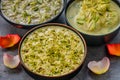 Punjabi desserts -Phirni, kheer and rasmalai Royalty Free Stock Photo