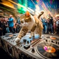 Punk Cat DJ.The disco cat plays music