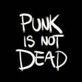 Punk is not dead Royalty Free Stock Photo