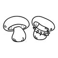 Punk rock satans bolete fungi monochrome lineart vector illustration. Simple alternative sticker clipart. Kids emo