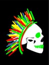 Punk skull with colorful Mohawk isolated on the black background Royalty Free Stock Photo