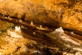 Punkevni jeskyne cave, Czech Republ Royalty Free Stock Photo