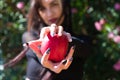 Punky girl with blonde and brunette hair holds a red apple in her hands and stares at it. The girl is a witch from the fairy tale Royalty Free Stock Photo