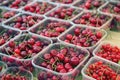Punnet of cherries Royalty Free Stock Photo