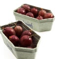 PUNNET OF GOOSEBERRIES ribes grossularia Royalty Free Stock Photo