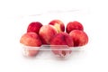 Punnet Nectarines