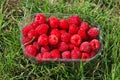 Punnet of raspberries