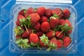 Punnet and spilled fresh red ripe organic strawberries