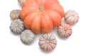 Punpkin from farm Royalty Free Stock Photo