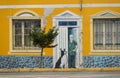 Wall mural on building in Punta Arenas in Chile