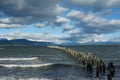 Punta Arenas shoreline 3