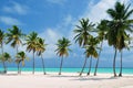 Punta Cana Beach Royalty Free Stock Photo