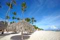 Punta Cana beach. Royalty Free Stock Photo