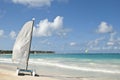 Punta-Cana, Dominican Republic Royalty Free Stock Photo
