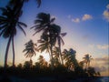 Punta Cana, Dominican Republic. Sea, peace, vacation, palm trees and relax Royalty Free Stock Photo
