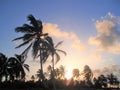 Punta Cana, Dominican Republic. Sea, peace, vacation, palm trees and relax Royalty Free Stock Photo