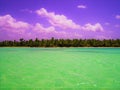 Punta Cana, Dominican Republic. Sea, water, vacation, palm trees and relax Royalty Free Stock Photo