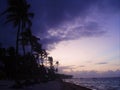 Punta Cana, Dominican Republic. Sea, water, vacation, palm trees and relax Royalty Free Stock Photo