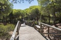 Punta Candor beach, Rota, Cadiz, Spain. Fishing weir, fish weir, fishgarth or kiddle