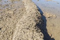 Punta Candor beach, Rota, Cadiz, Spain. Fishing weir, fish weir, fishgarth or kiddle Royalty Free Stock Photo