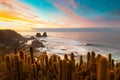 Punta de Lobos in Pichilemu Royalty Free Stock Photo