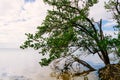 Punta Gorda harbor and peace river Royalty Free Stock Photo