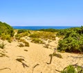 Punta Paloma beach. Tarifa, Cadiz, Andalusia, Spain