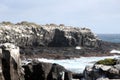 Punta Suarez coast, landscape on the island of Espanola, Galapagos Islands, Ecuador