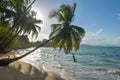 Punta Uva beach in Costa Rica, wild and beautiful caribbean coast Royalty Free Stock Photo