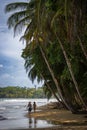 Punta Uva beach near Puerto Viejo de Talamanca (Costa Rica)